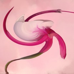 Swirl