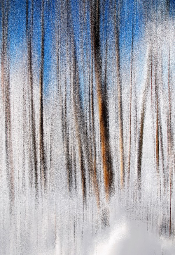 Winter Print
