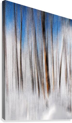 Winter Canvas Print