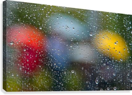 Summer Rain Canvas Print