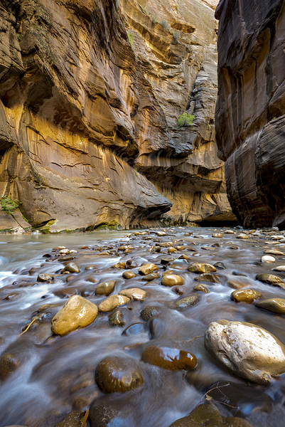 Zion Narrows Print