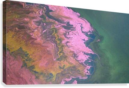 KIMG4113 Canvas Print