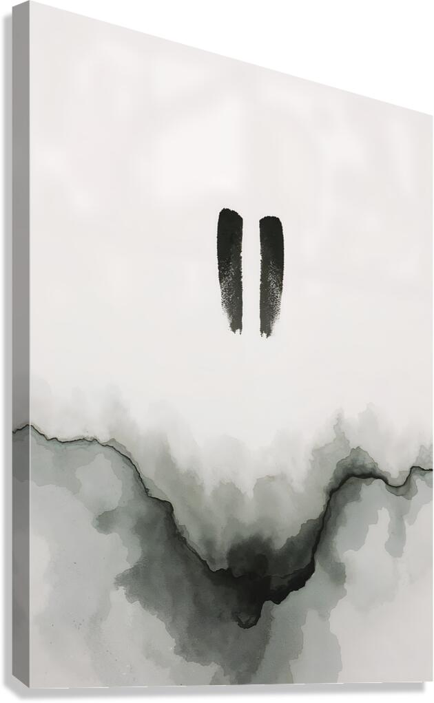 Silent Division Canvas Print