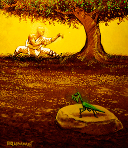 Shaolin Praying Mantis Kung Fu