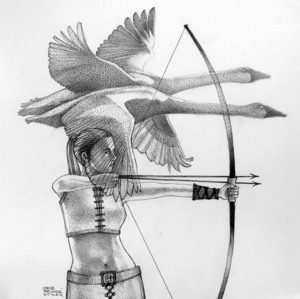 Swan Archer 