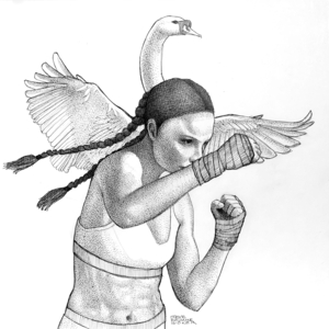Swan Fighter