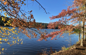 P-Autumn Water