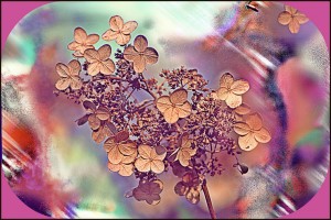 GoldLeaf
