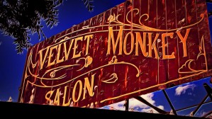 VELVET MONKEY OKC