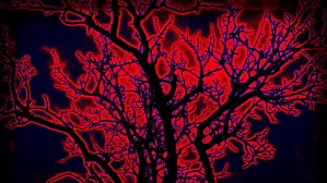 burningtree