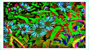 Green Flat-pic art
