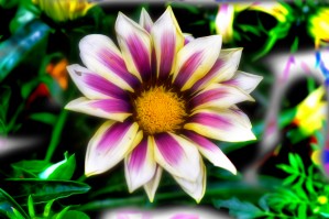xyz- pic art