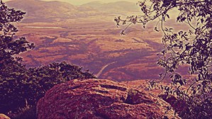 prayingrock
