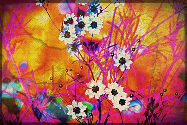 Fancy Weeds Print