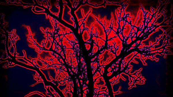 burningtree Print