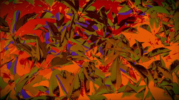 bushesabstract Print