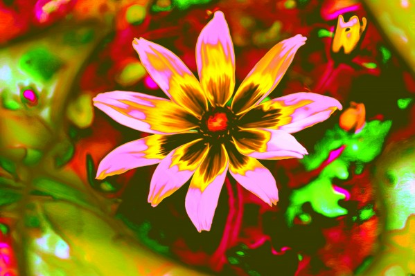 flowerPowerWILD Print