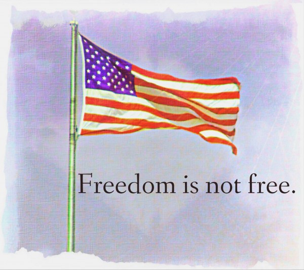 freedomIsnofree Print
