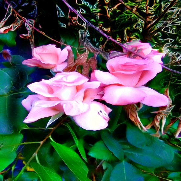 friendsFlower Print