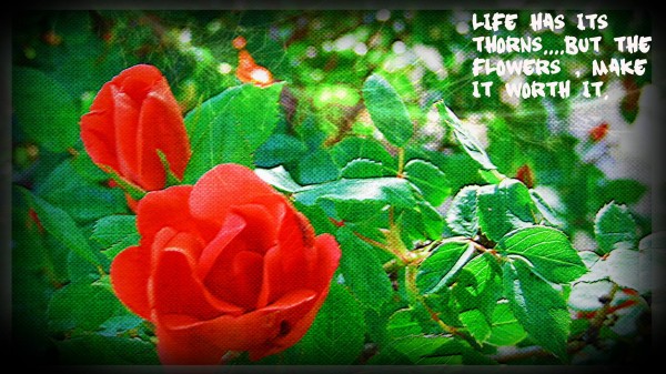 life Print