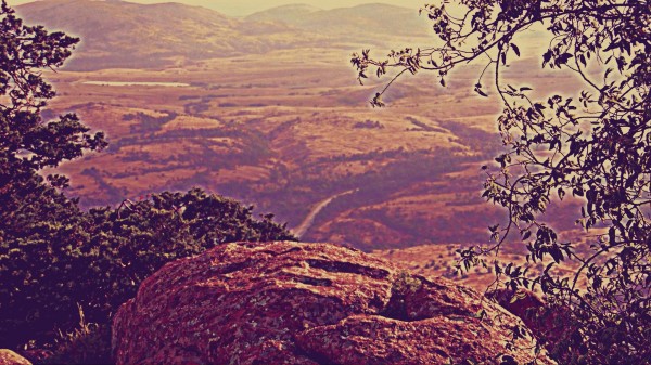 prayingrock Print