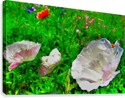whiteflower Canvas Print