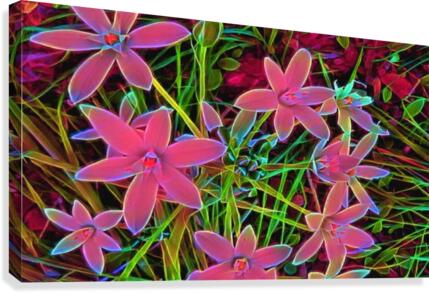 radiantplant Canvas Print