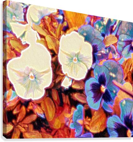 tuesdays Canvas Print