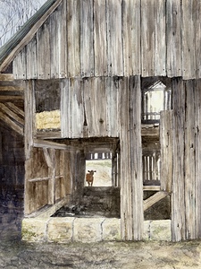 Looking in the Back Door