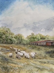 Grazing