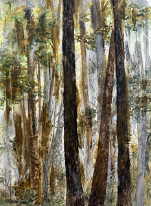 Seeing the Forest for the Trees