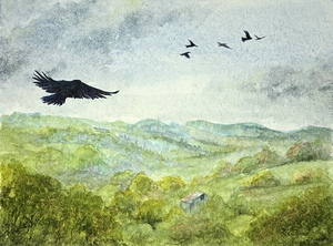 Soaring