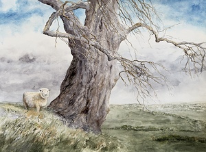 High Hill