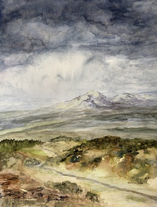 Distant Lands