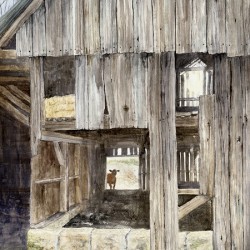 Looking in the Back Door