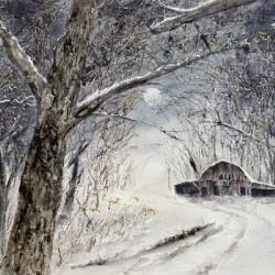 Winter Walk