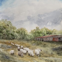 Grazing