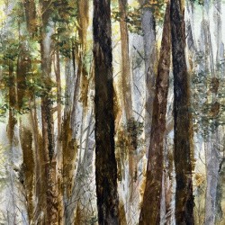 Seeing the Forest for the Trees