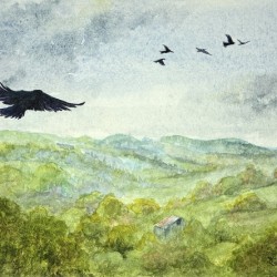 Soaring