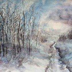 Winter Brook