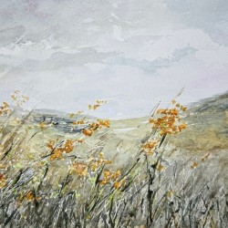 Breeze
