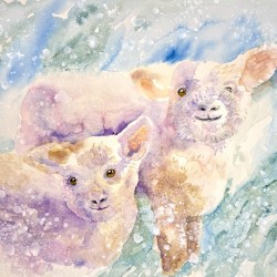 Wool Coats Needed