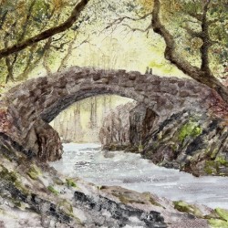 Bridging Together