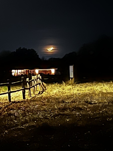 Crescent Moon Low on the Horizon by ME Brannon