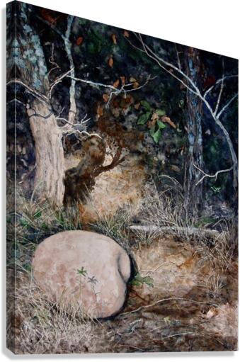 Rock and Shadow Canvas Print