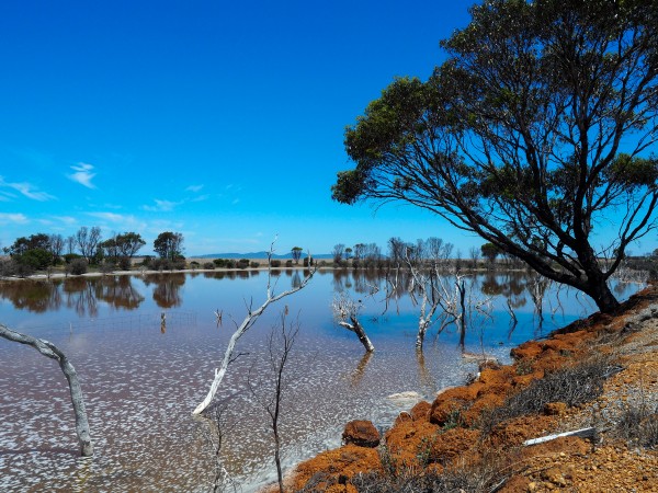 Australian drought by Skyeleaf