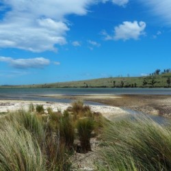 Tasmania
