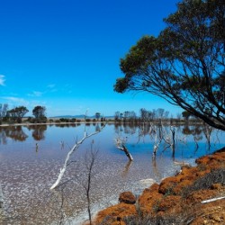 Australian drought