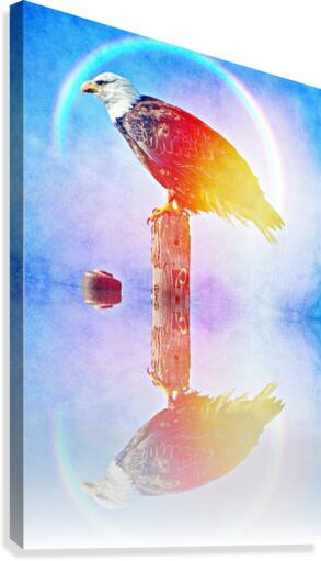 eagle reflections  Canvas Print