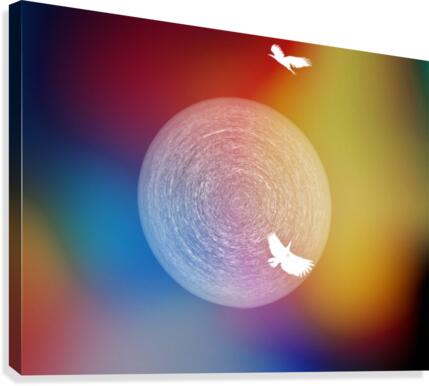 2 eagle circle Canvas Print